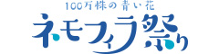 ネモフィラ祭り｜大阪まいしまシーサイドパーク
